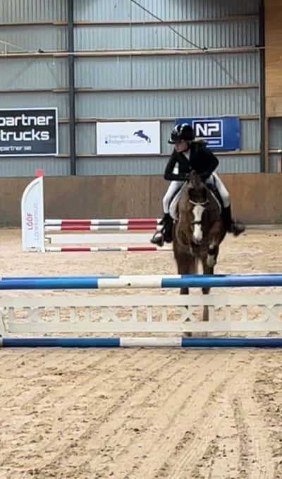 Post 127 of Show jumping