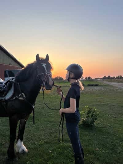 Inlägg 24 av Okänd Ras