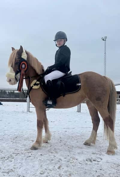 Post 13 of Show jumping with title Hopptävling 