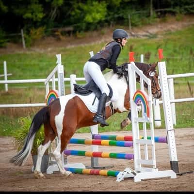 Inlägg 133 av Allround med titeln Hoppning (Färgelanda)