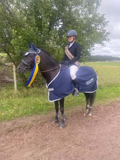 Post 172 of Show jumping with title Kanalhoppet 2023