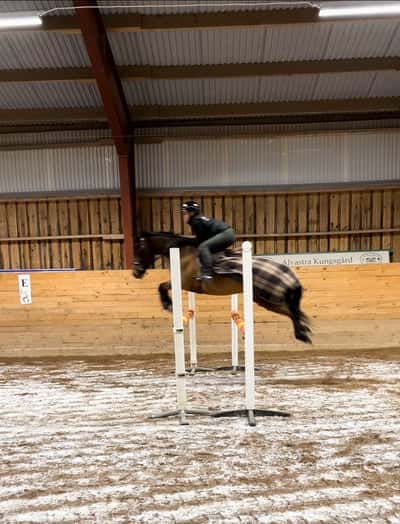 Inlägg 45 av Allround