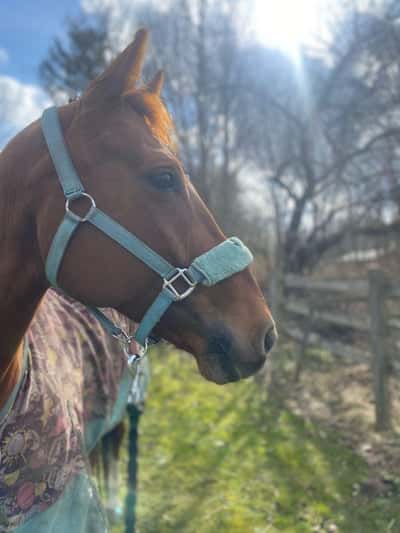 Inlägg 80 av Allround