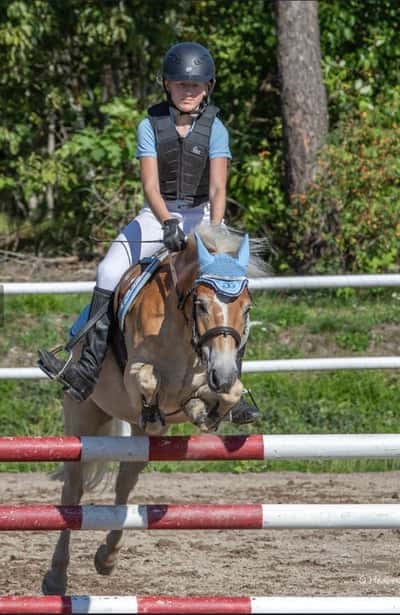 Inlägg 125 av Allround