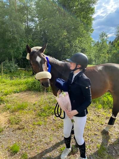 Post 95 of Show jumping