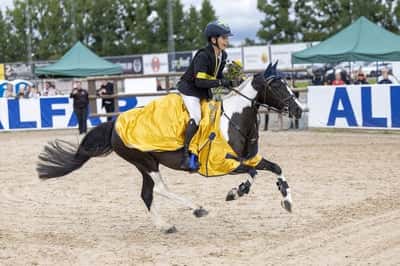 Post 173 of Show jumping with title Minnie och Adams guldrundor! 
