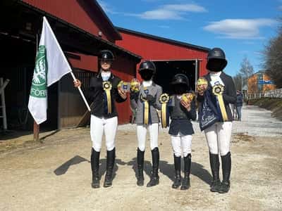 Inlägg 19 av Andalusier med titeln Vinst!!