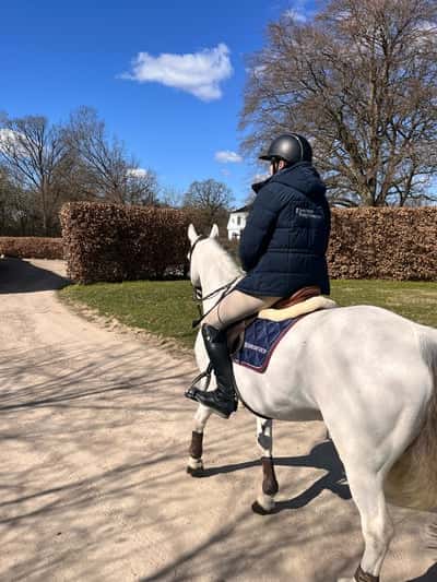 Inlägg 3 av Connemara med titeln ⭐️