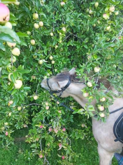 Inlägg 149 av Allround