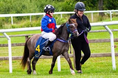 Inlägg 7 av Welsh Mountain med titeln Ponnygalopp 
