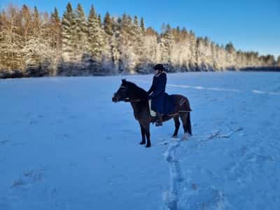 Inlägg 72 av Allround