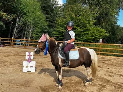 Post 387 of Show jumping with title Anton