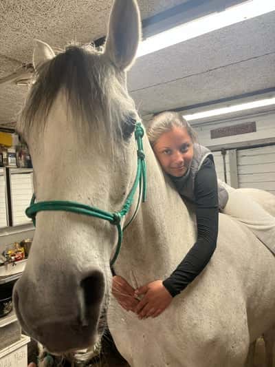 Inlägg 19 av Arabiskt Fullblod