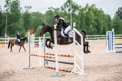 Brian Laburnums Briar