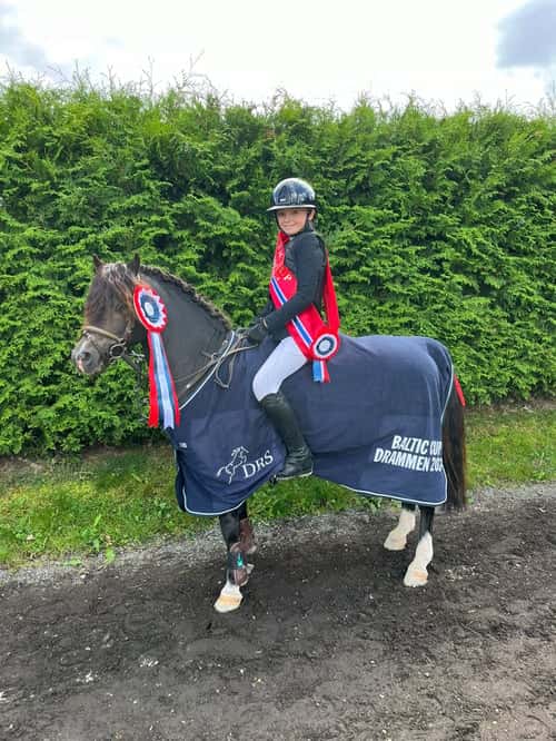 Bild av Blivande C-ponny e: Quintus 