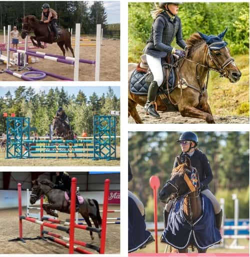 Bild av Fantastisk ponny letar ny ryttare