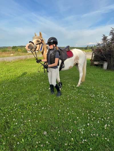 JK's Twilight Sparkle