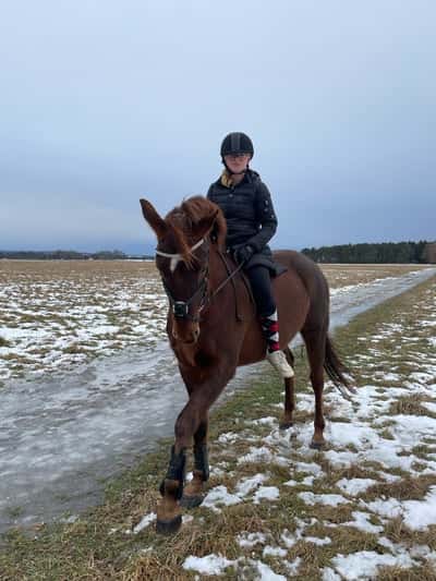 Inlägg 25 av Allround med titeln älskade häst