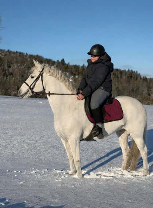 Bild av Mycket snäll ponny