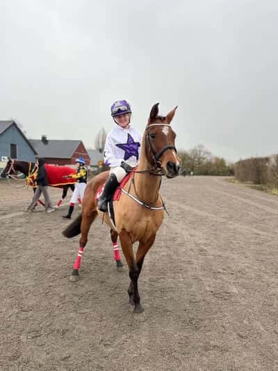 Inlägg 3 av Angloarab med titeln Ponnygalopptävling