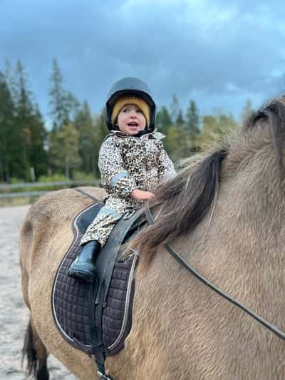 Inlägg 18 av Island med titeln Min tvååring på islandshäst