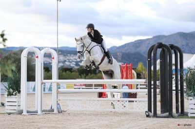 Inlägg 108 av Allround