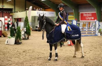 Post 253 of Show jumping with title Charlie vinner Alfab Pony Challenge ✨