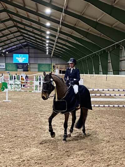 Inlägg 19 av Svensk Ridhäst med titeln 1.20 skogslotten 