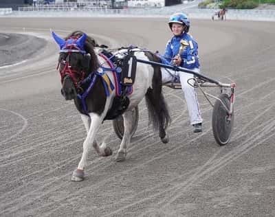 Inlägg 104 av Ponnytrav med titeln DPK’s Ponnytravgala 