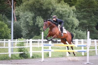 Inlägg 103 av Allround