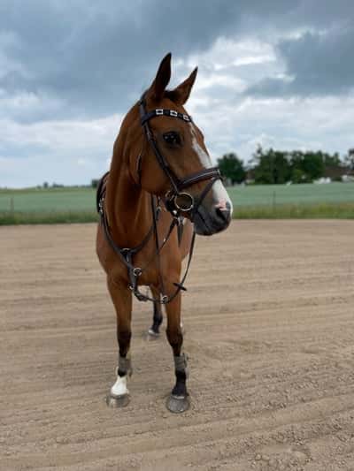 Inlägg 161 av Allround med titeln ♥︎♥︎