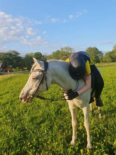 Inlägg 135 av Allround