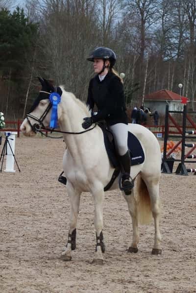 Post 218 of Show jumping with title Tredje msvb, tredje nollan💯