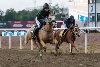 Inlägg 1 av Galopp med titeln Tarzan i hästarnas mästare🥰