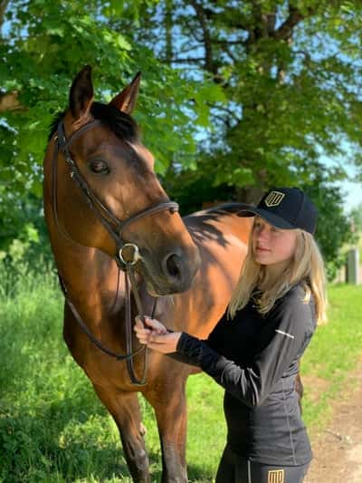 Inlägg 132 av Allround