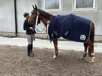 Post 158 of Show jumping