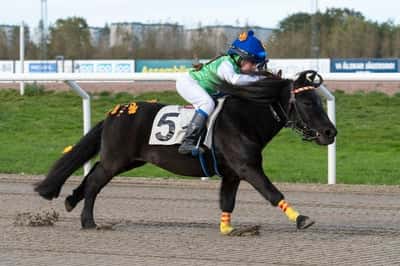 Inlägg 92 av Galopp med titeln Vinner på Jägersro 🏆🥇❤️