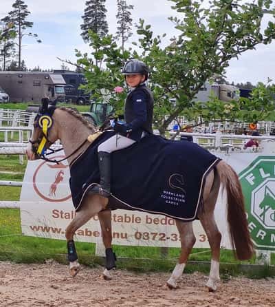 Post 364 of Show jumping with title Viggo&Crosse