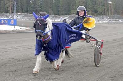 Inlägg 97 av Ponnytrav med titeln Ponnytrav 