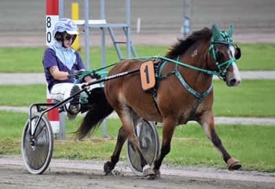 Inlägg 18 av Trav med titeln Örebro 18/9