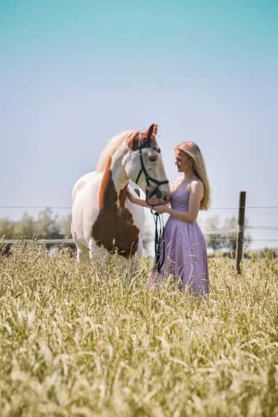 Inlägg 20 av Irish Cob med titeln Fotografering 