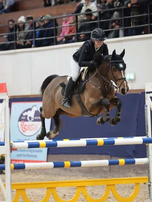 Bild av Mästerskapsponny säljes! 🌟