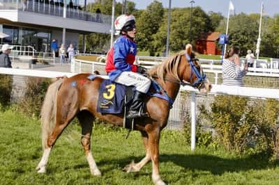 Inlägg 18 av Korsningsponny med titeln Ponnygalopp