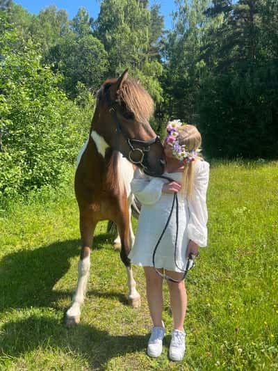 Inlägg 128 av Allround med titeln Midsommar 