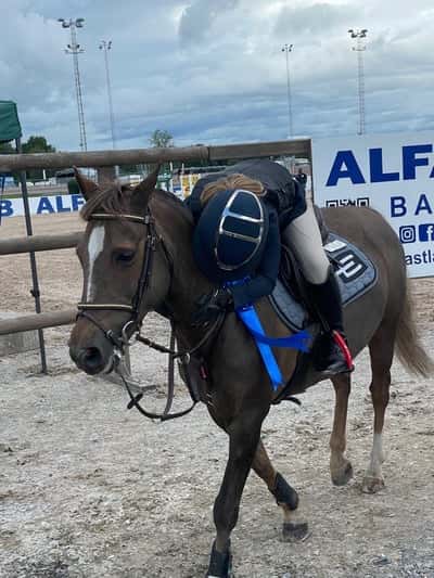 Inlägg 133 av Allround med titeln Pris 