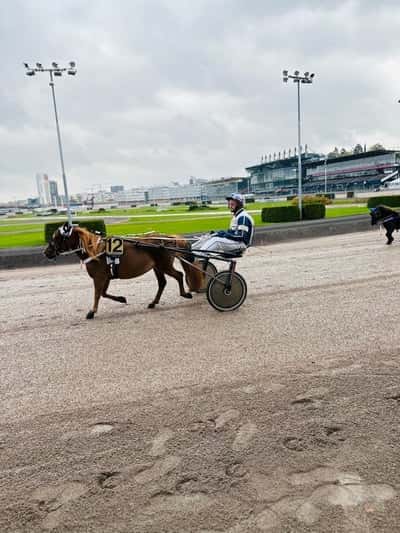 Inlägg 59 av Ponnytrav med titeln Kriteriet