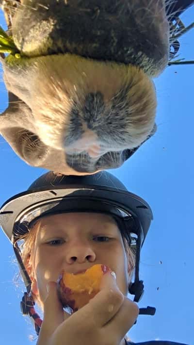 Inlägg 10 av Nordsvensk med titeln 😘