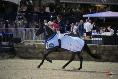 Post 4 of Show jumping with title Seger i Wellington 5* GP  🇺🇸