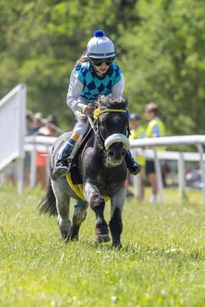 Inlägg 96 av Galopp