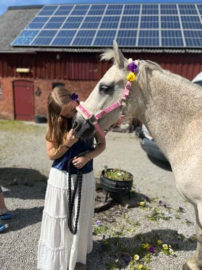 Inlägg 5 av Allround med titeln Glad Midsommar från mig o Misty💗🌷